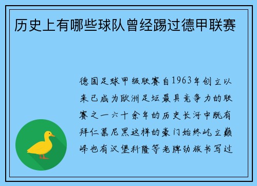 历史上有哪些球队曾经踢过德甲联赛